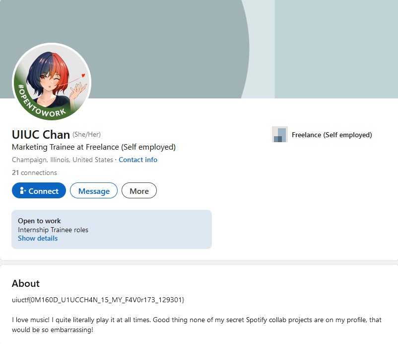 UIUChan LinkedIn Page & Flag